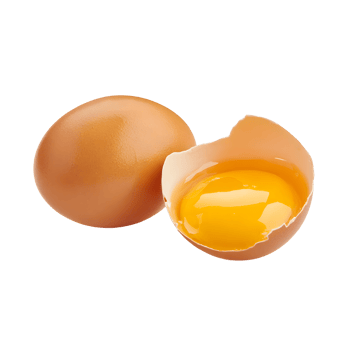 Whole Chicken Egg and Half Chicken Egg with a Transparent Background for Culinary Illustrations png