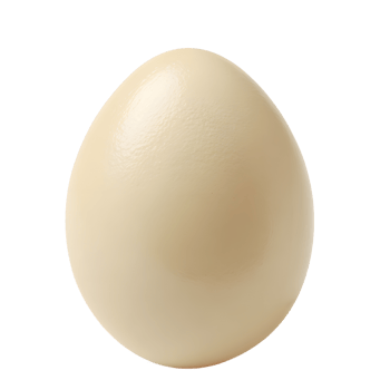 Chicken egg with a transparent background for culinary designs and illustrations png