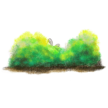 Little bunny hide in bush artistic illustration png
