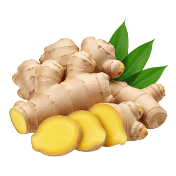 Fresh ginger root with sliced pieces and green leaves isolated on transparent background png