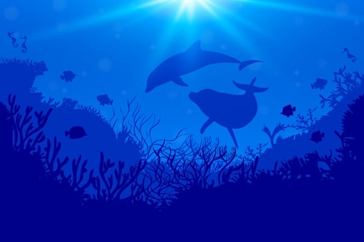 Dolphins swimming in the ocean vector