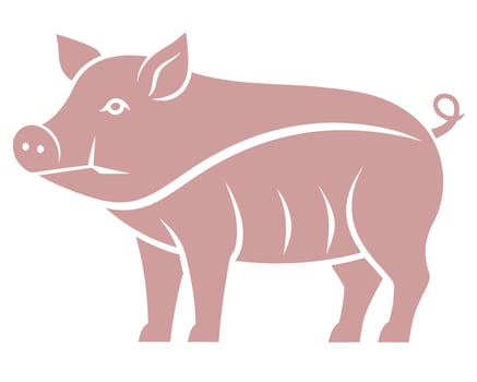 Simple and stylish illustrated artwork depicting a standing pig with minimal artistic detailing vector