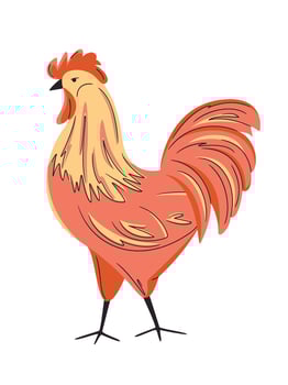 Set of colourful rooster isolated on white. Hand drawn poultry illustration. Bright, organic design for local farm, urban homesteading, fresh food, and countryside life vector