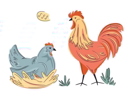Colorful laying hen in a nest and rooster isolated on white. Hand drawn poultry. Chicken illustration. Bright, organic design for local farm, urban homesteading, fresh food, and countryside life vector