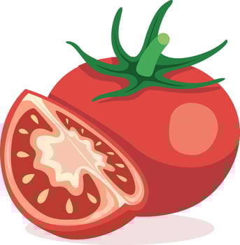 Fresh tomato with a sliced piece vector