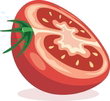 Fresh sliced tomato with green stem vector