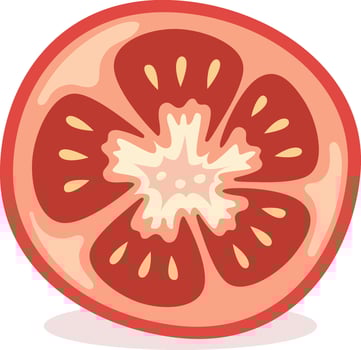 Illustration of a sliced tomato vector
