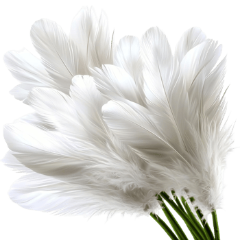 Pile of soft white feathers natural texture png