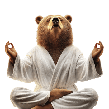 bear doing yoga on mat funny animal exercise png