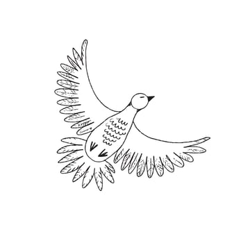 Stylized and Artistic Illustration of a Beautiful Flying Bird Made with Simple Lines vector