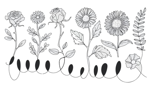 HandDrawn Flower Line Art, Black and White Floral Designs with Leaves vector