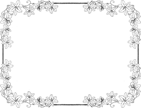 lily flower botanical frame and border illustration vector