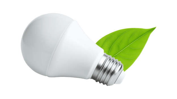 Energy saving light bulb with a green leaf as a symbol of eco friendly power png