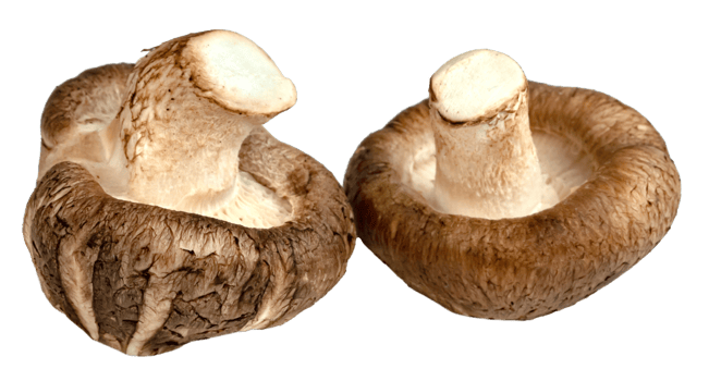 Two fresh, brown shiitake mushrooms with distinct textured caps and visible stems. Ideal for culinary themes, healthy eating, and ingredient showcases. png