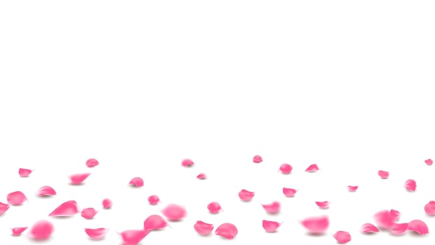 Lovely banner floral pastel pink color. Rose petals on floor background vector