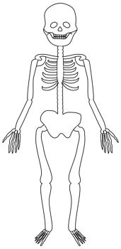 cute Halloween cartoon human skeleton png