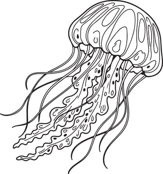 Detailed jellyfish line art drawing with flowing tentacles, originally scalable graphic vector