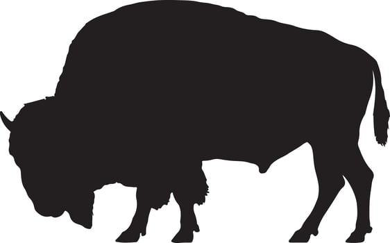 Silhouette of a bison, wild animal, wildlife concept, North American mammal, buffalo icon vector