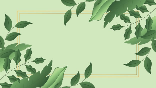 Elegant green leaf border design with soft botanical elements and a minimal frame on light background ideal for invitations greeting cards posters and digital artwork vector