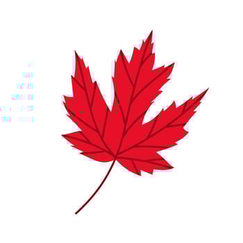 Simple illustration of a red maple leaf. National symbol of Canada. Autumn leaf. vector