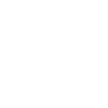 Korean Heritage Floral Motif png
