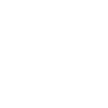 Korean Traditional Flower Pattern png