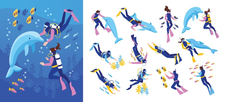 Diving illustrations with divers and dolphins vector