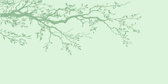 Green tree branch with many leaves. Vintage stipple sketch with rough halftone dots, photocopy grain, threshold contrast for graphic. vector
