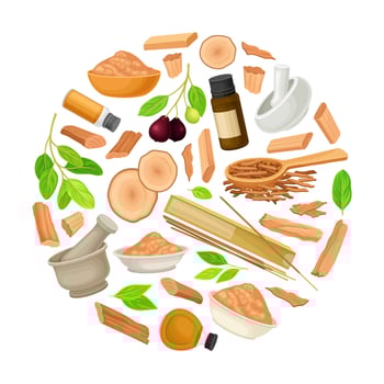 various natural healing ingredients vector