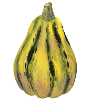 Hand drawn autumn illustration with a cozy warm yellow pumpkin with realistic texture and subtle highlights. Perfect for seasonal designs, harvest themes, Thanksgiving, and fall decor. png