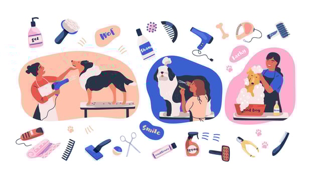 Illustration of dog grooming activities and tools vector