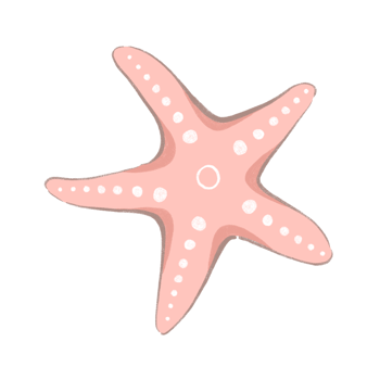 starfish cartoon character in flat kawaii style with decorations and ocean theme png