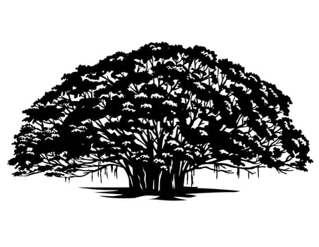 Banyan Tree or Ficus Benghalensis Retro Woodcut vector