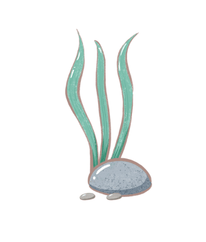 dark green coral cartoon drawing with decorations in flat cute hand drawn style png