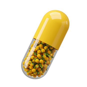 A Capsule Filled with Vibrant Yellow Flowers Natural Remedy Concept png