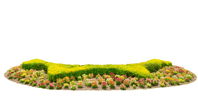 Design hedges cut green tree with colorful flowers bed, Trees are full and fat and dressed to the ground png