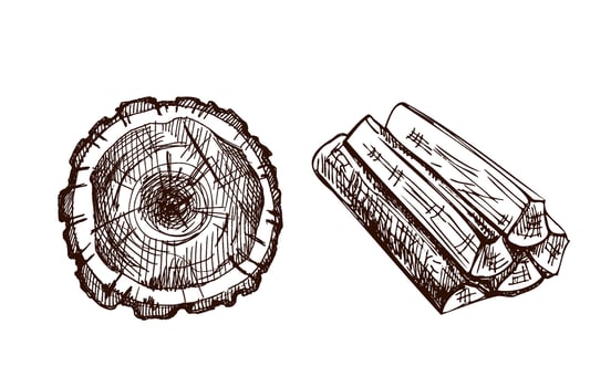 Hand drawn vintage sketch of wooden logs and tree stump in brown ink engraving style, isolate vector