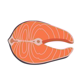 illustration of a raw salmon steak with clean lines and realistic texture, perfect for menus, food infographics, packaging, or seafood branding vector