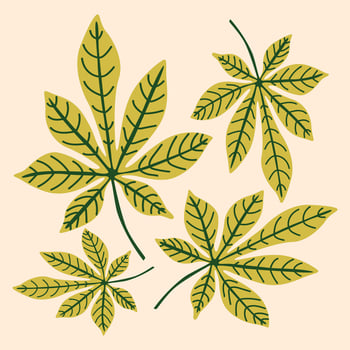 Natural autumn fall bright hand drawn background with horse chestnut leaves. Organic harvest contemporary illustration for cute cozy design vector