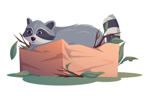 Cartoon raccoon sitting in a box vector