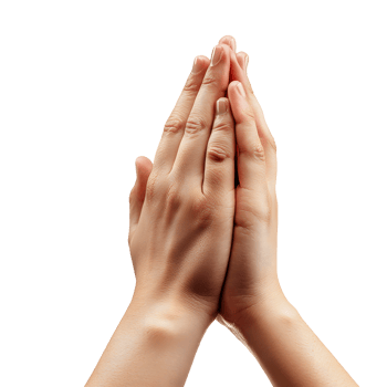 Human hands clasped together in prayer or supplication isolated on transparent background png