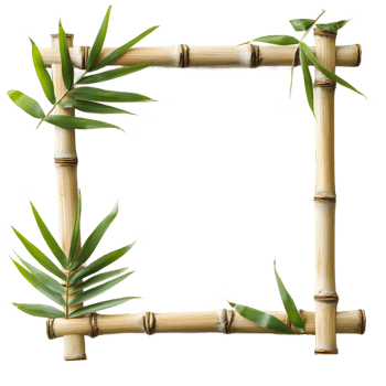 Natural bamboo frame with green leaves border isolated on transparent background png