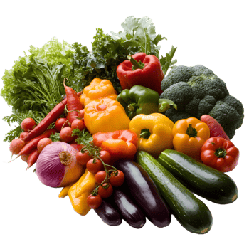 A vibrant assortment of fresh healthy vegetables including peppers zucchini lettuce and tomatoes isolated on transparent background png