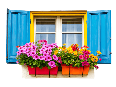 Colorful flower boxes overflowing with blooms on a charming window isolated on transparent background png