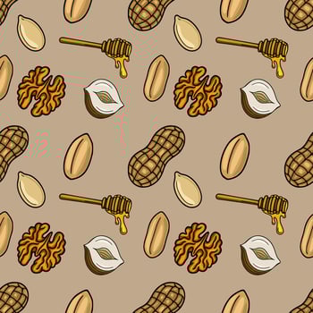 Pattern of nuts and honey vector