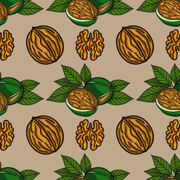 Walnut pattern with leaves and shells vector