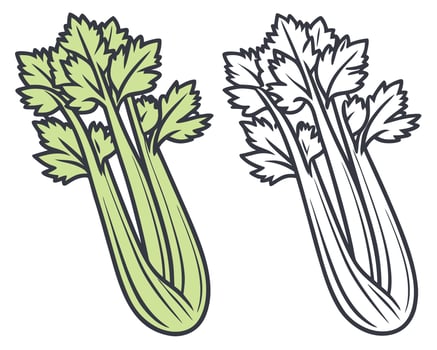 Two artistic illustrations of celery stalks depicting colored and outlined vegetable designs vector