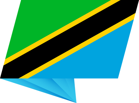 Tanzania pin flag png