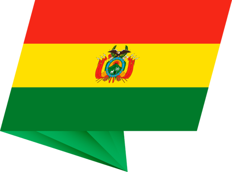 Bolivia pin flag png