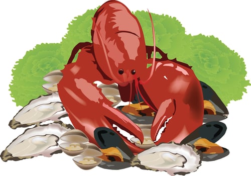 Lobster and clams clip art vector